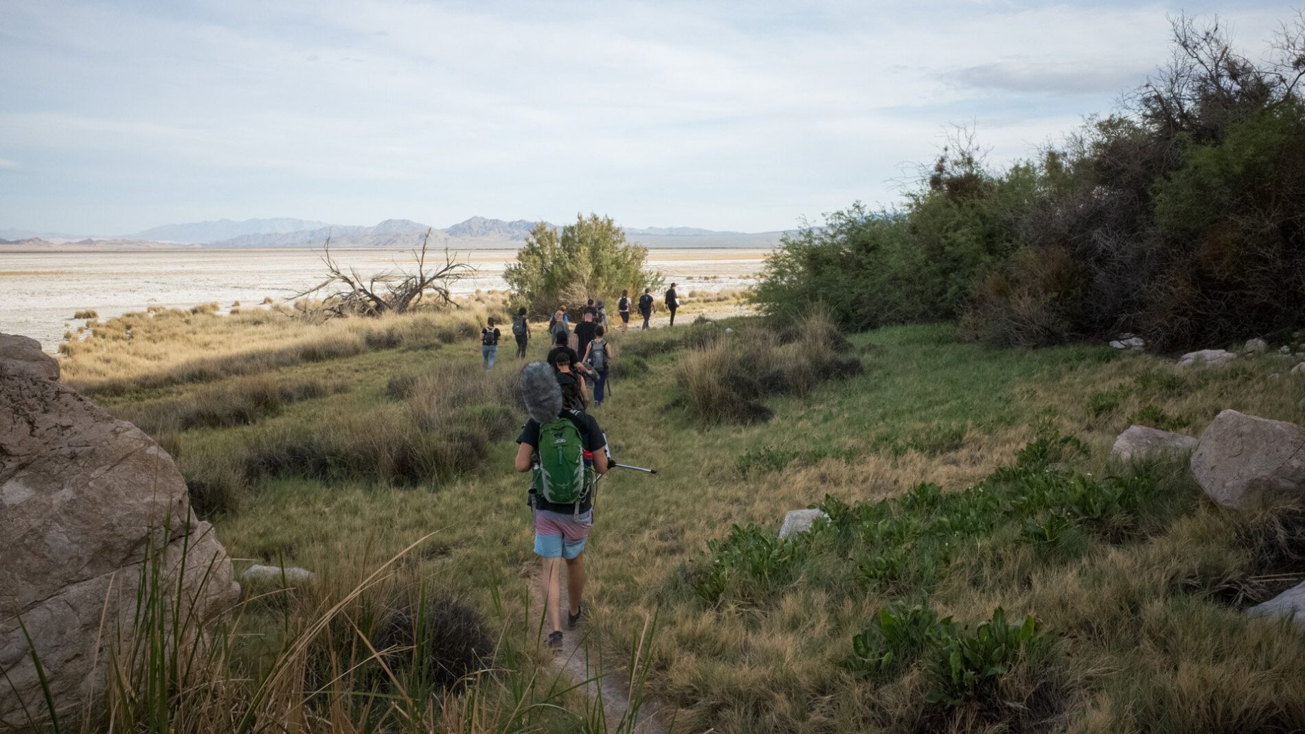 The Radical Listener: Sensing Landscapes, Sounding Biospheres