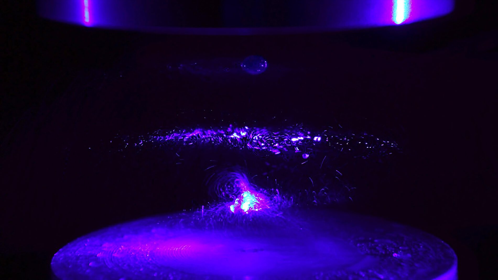 LASER: Force Field