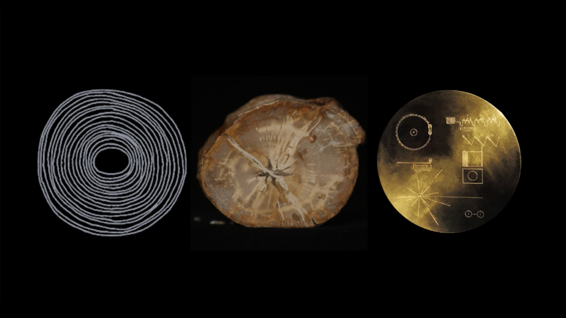 Beyond the Physical: A Conversation between Julia Christensen & Tom Hall, moderated by Laetitia Sonami