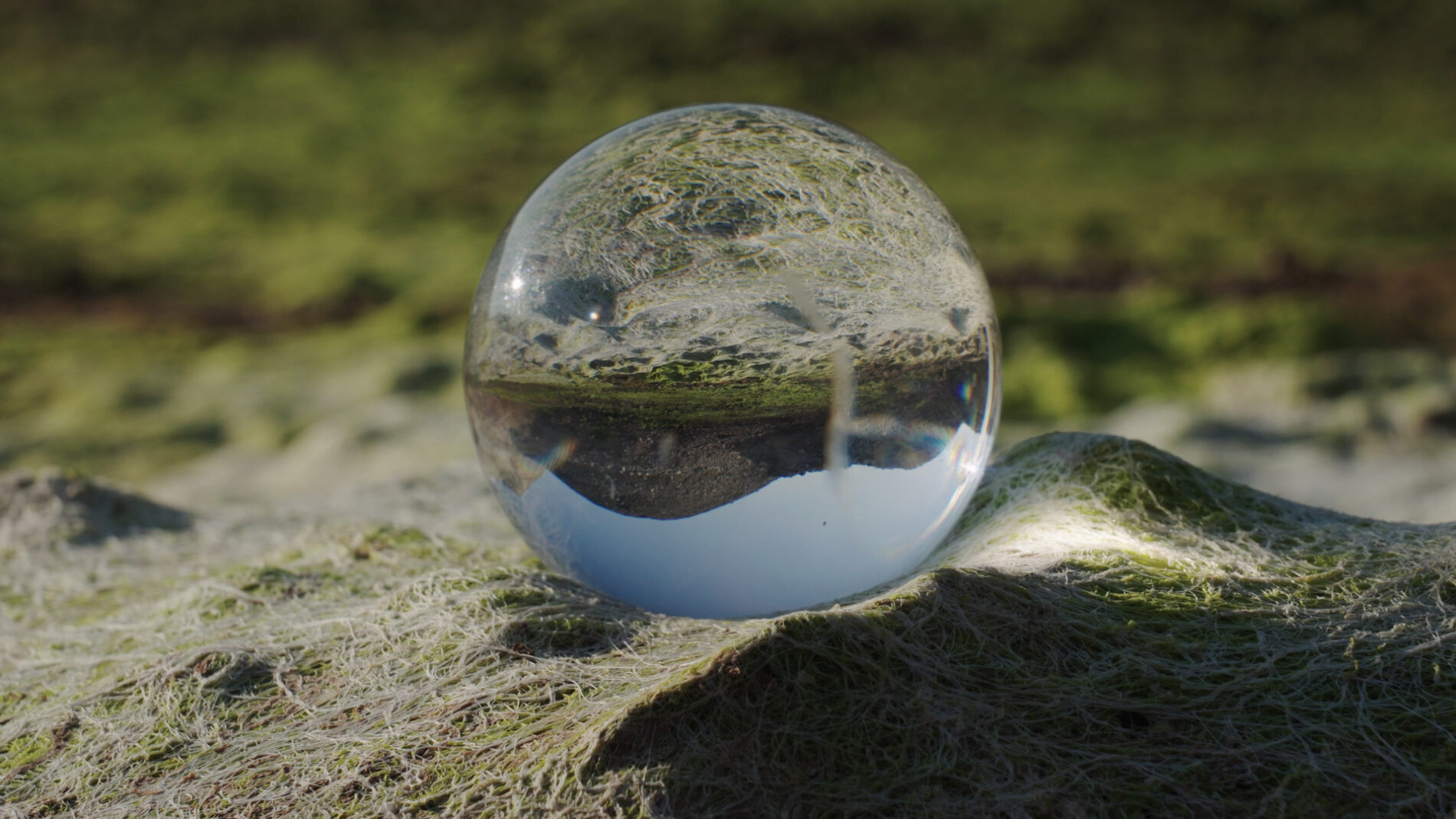 Sarah Rara: Drifts