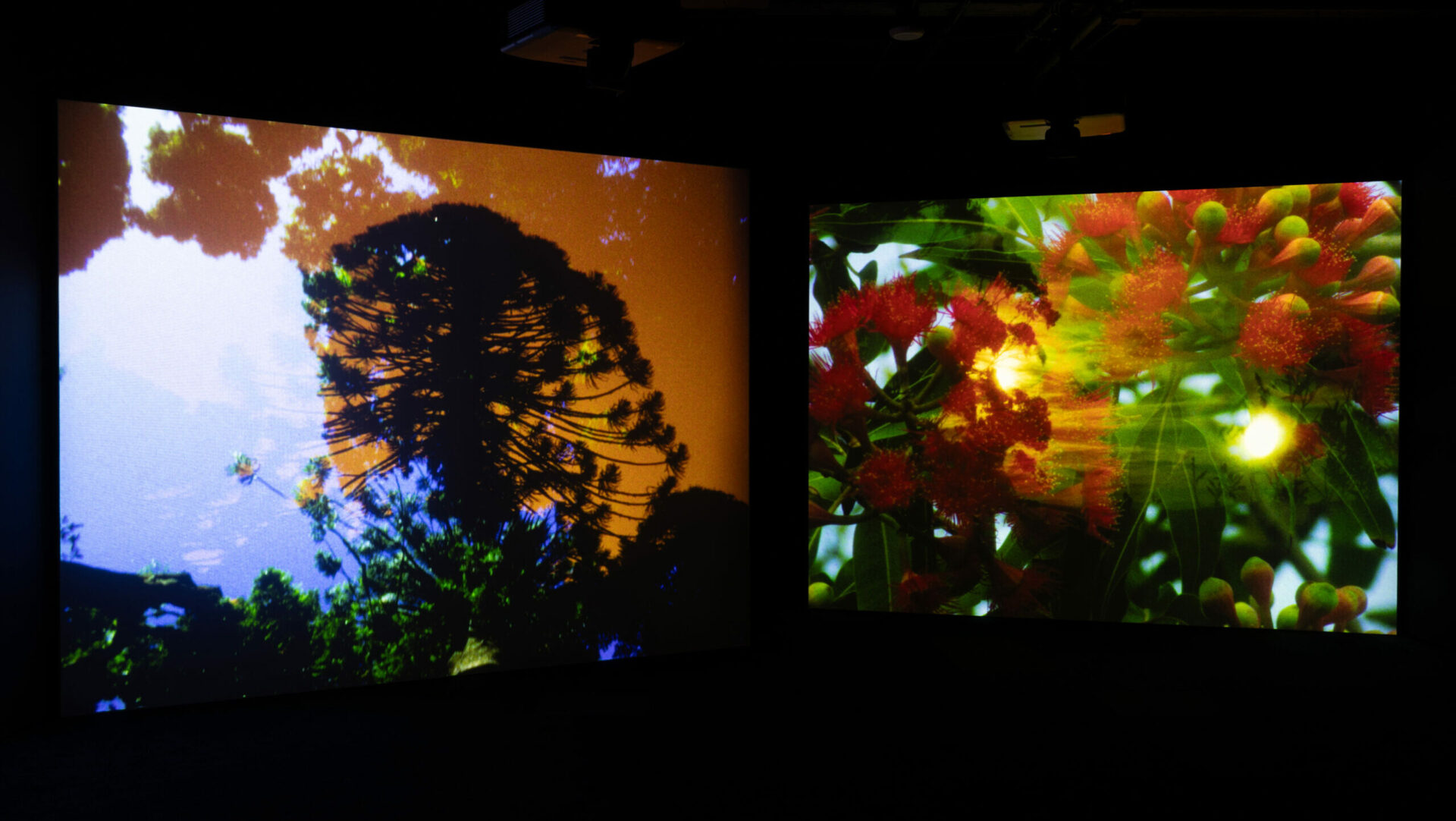 Malena Szlam: Archipelago of Earthen Bones