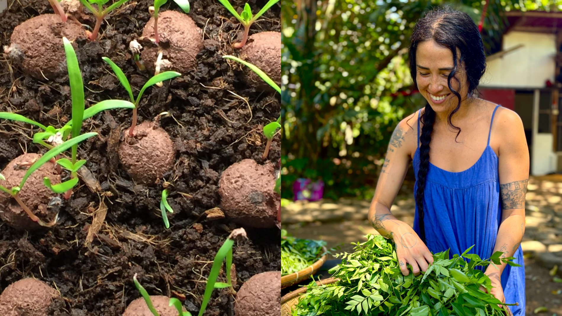 Soil Bioremediation: Native Plant and Seed Ball Workshop